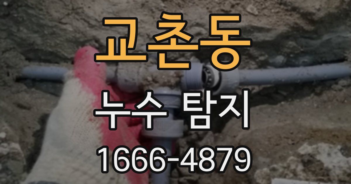 교촌동 누수 탐지