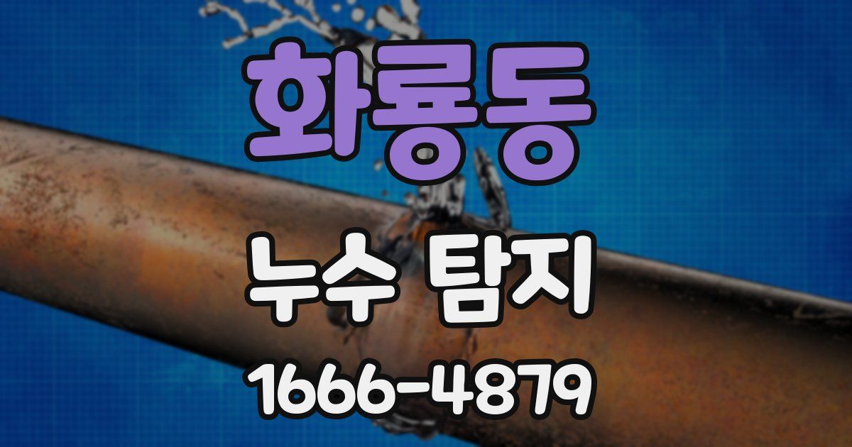 화룡동 누수 탐지