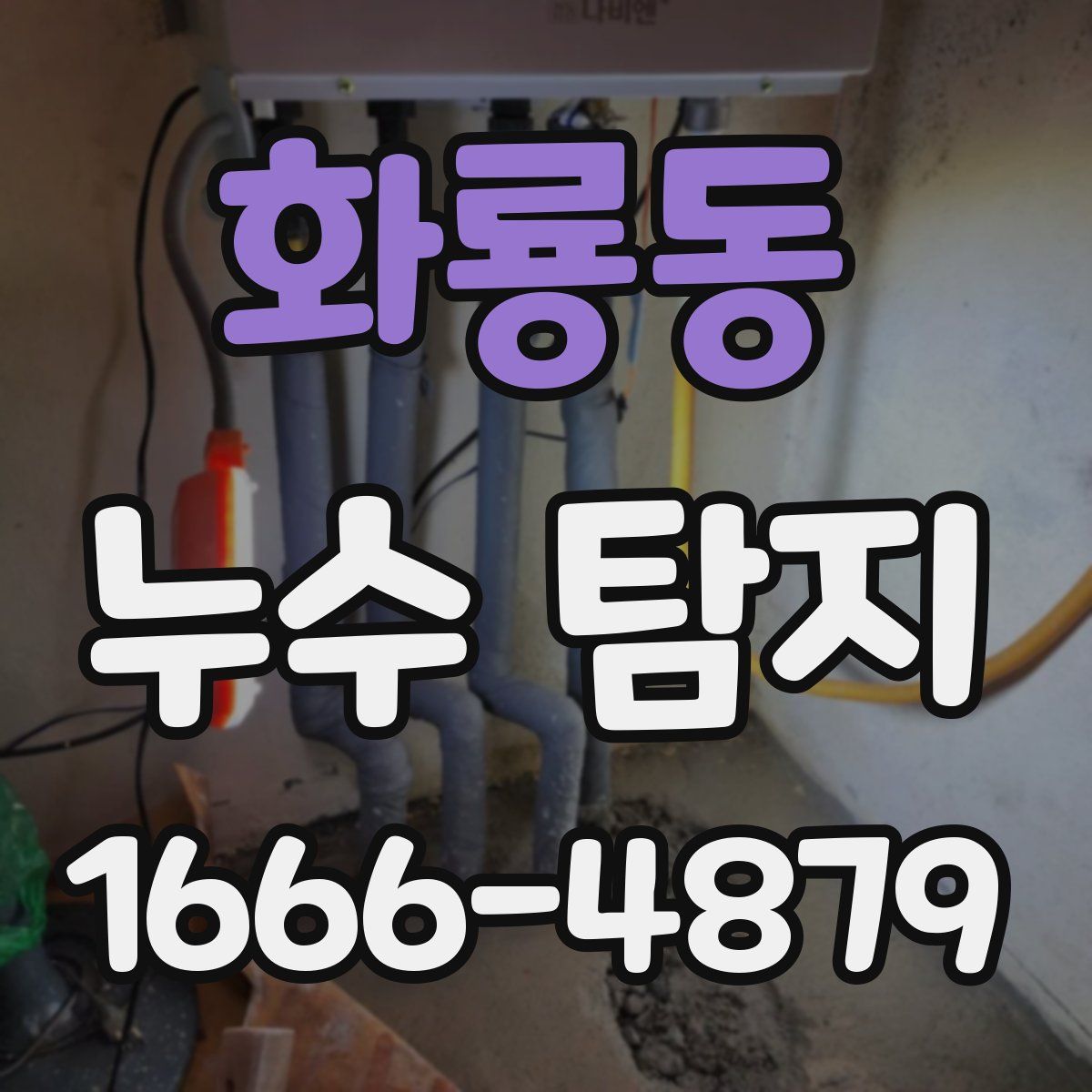 화룡동 누수 탐지