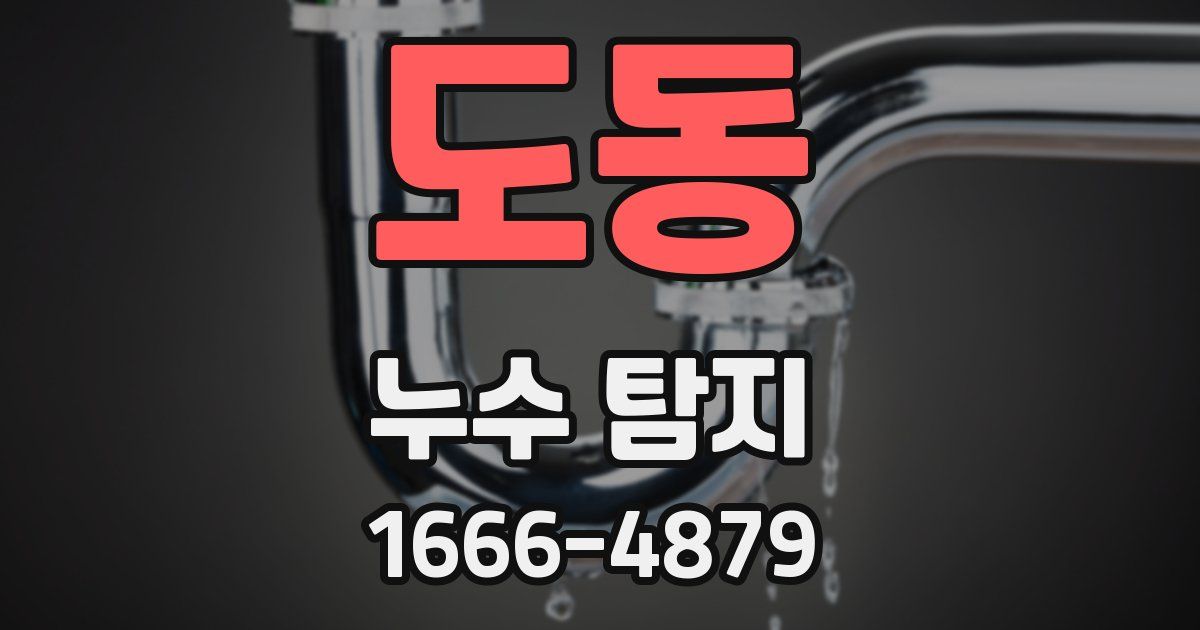 도동 누수 탐지