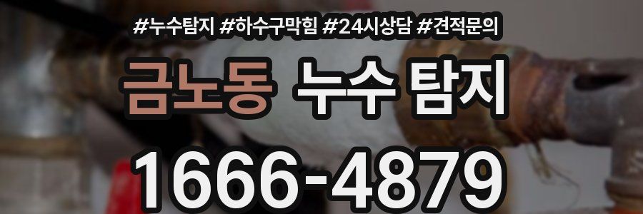 금노동 누수 탐지