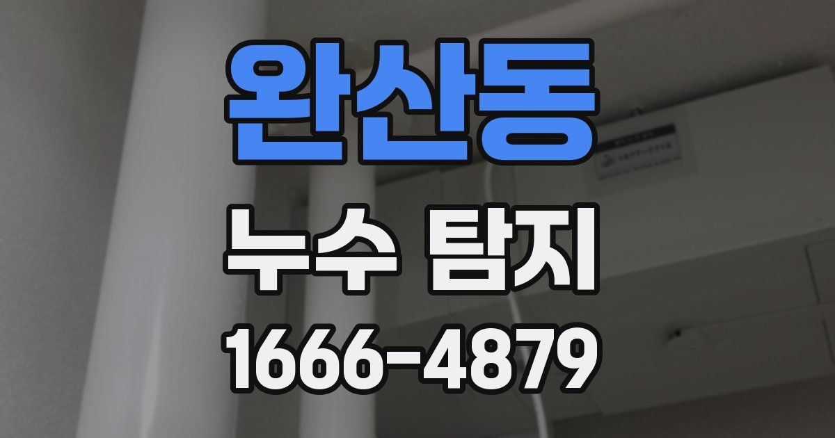 완산동 누수 탐지