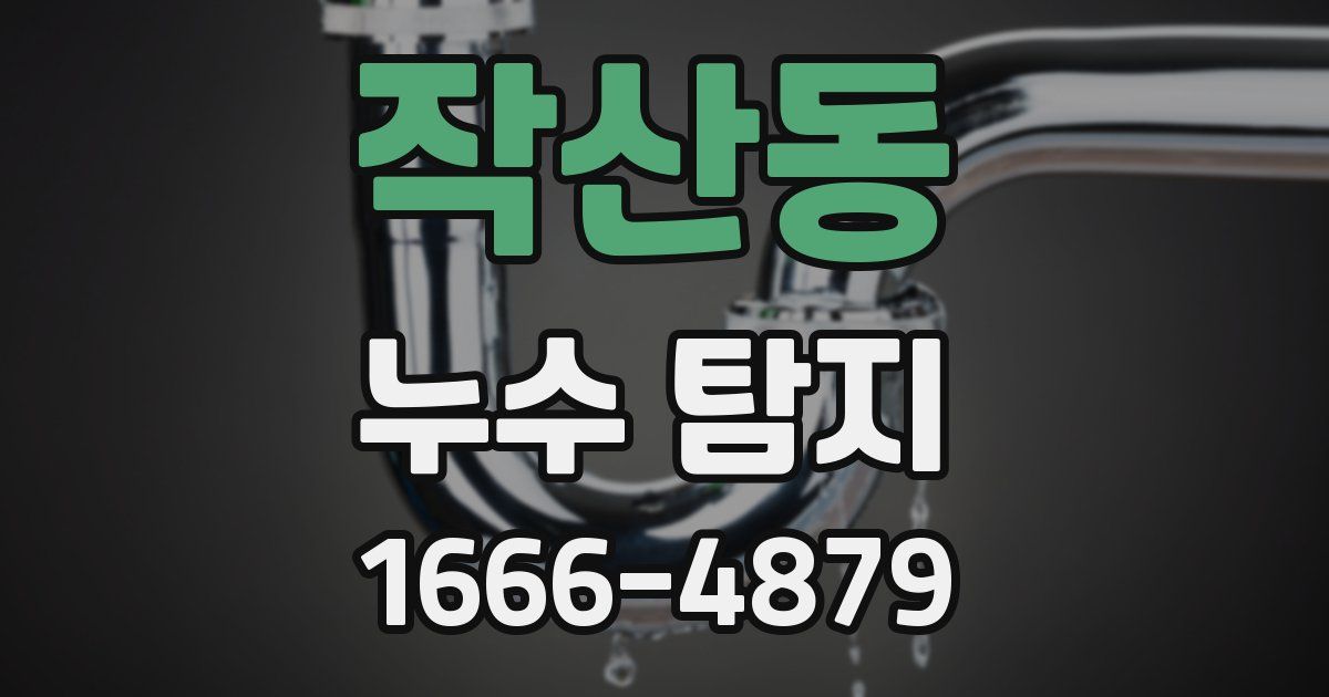 작산동 누수 탐지
