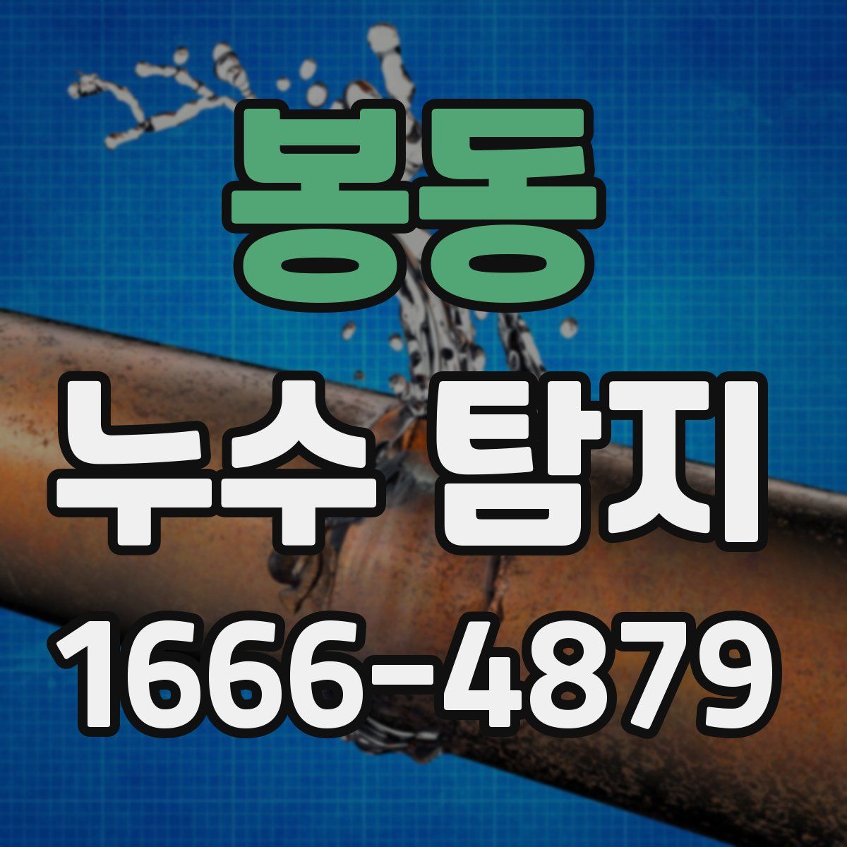 봉동 누수 탐지
