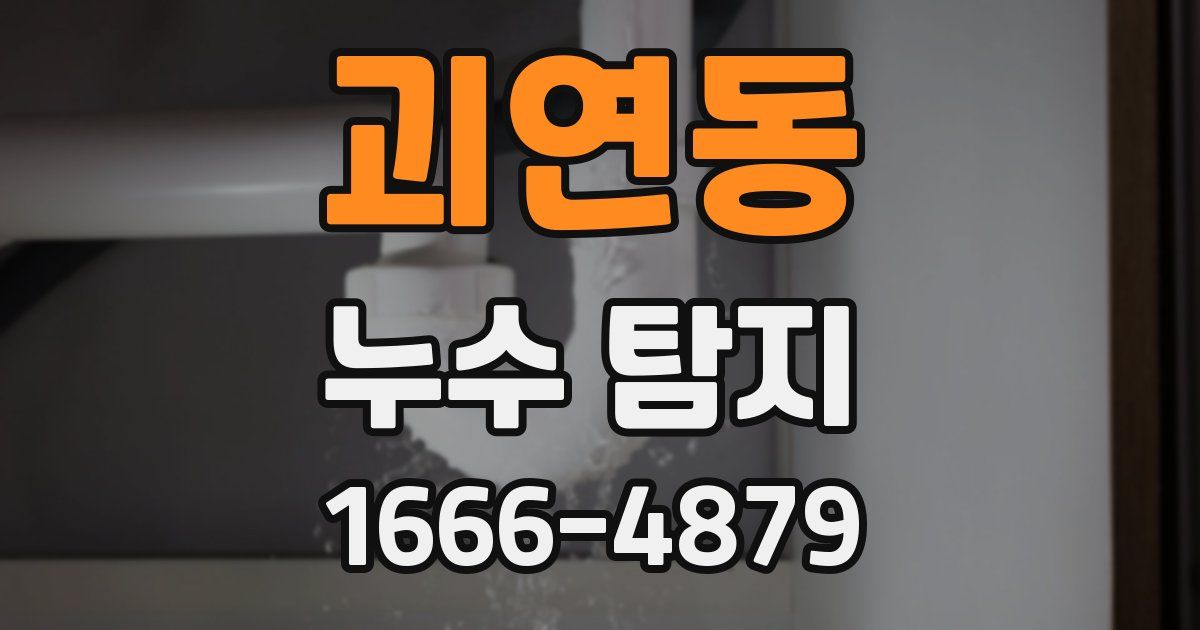 괴연동 누수 탐지