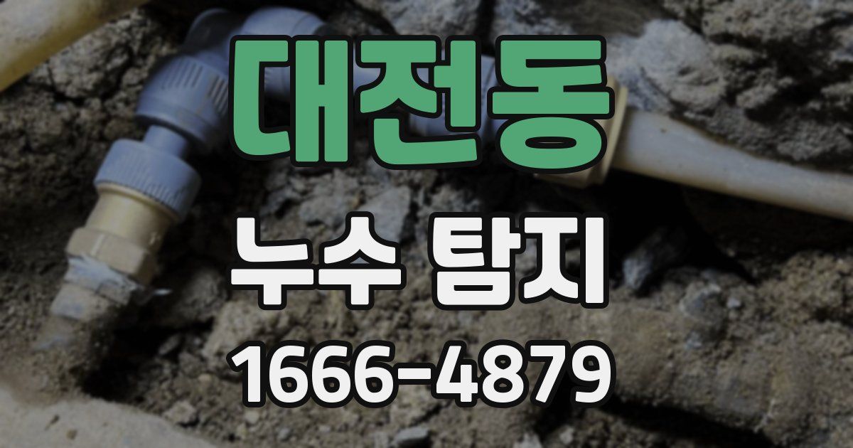 대전동 누수 탐지
