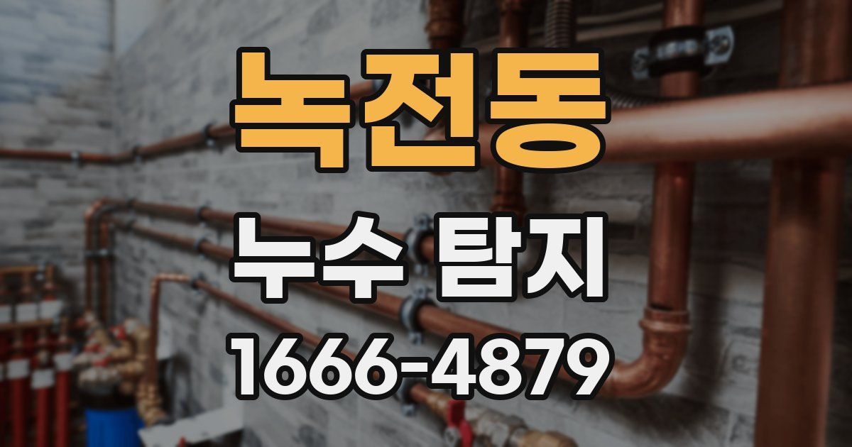 녹전동 누수 탐지