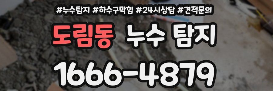 도림동 누수 탐지