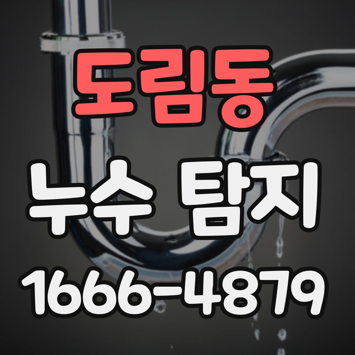 도림동 누수 탐지