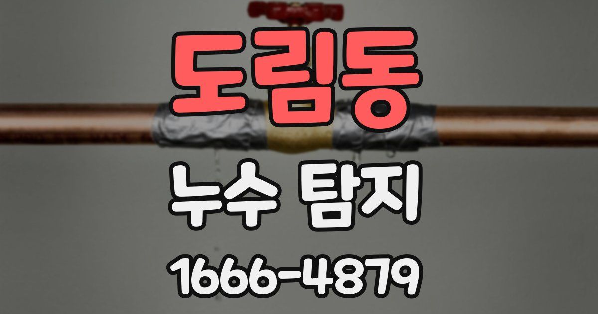 도림동 누수 탐지