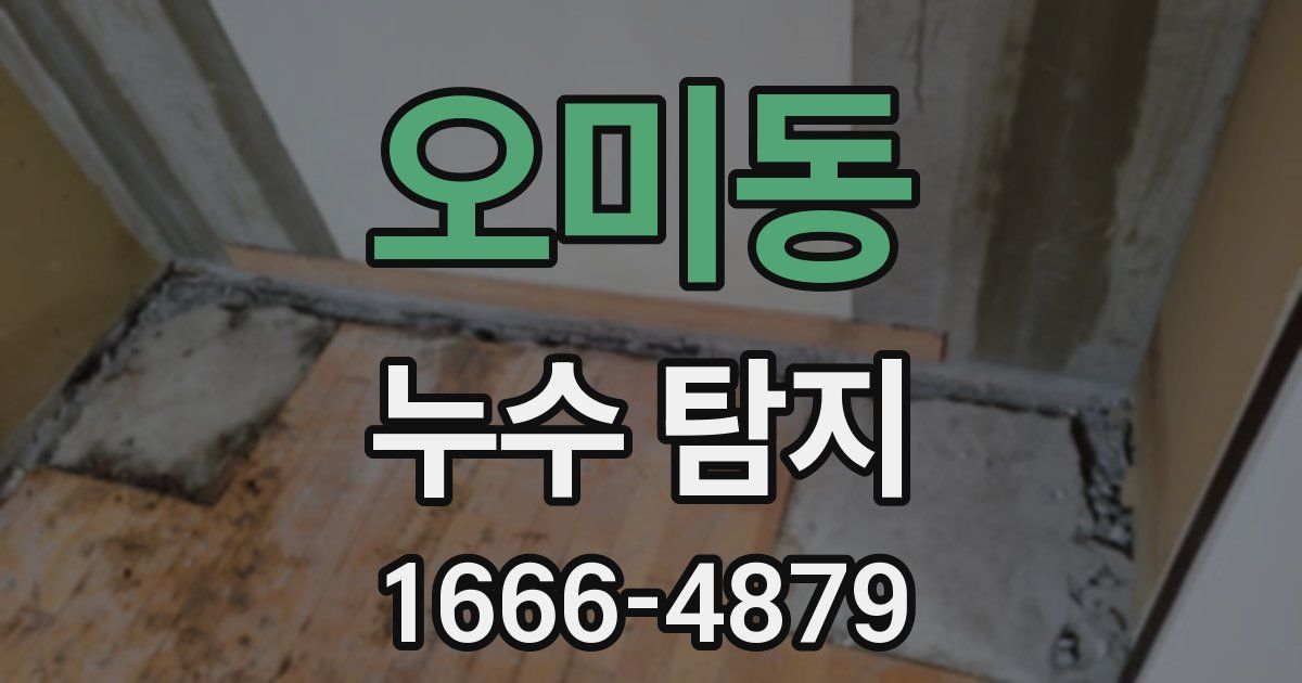 오미동 누수 탐지