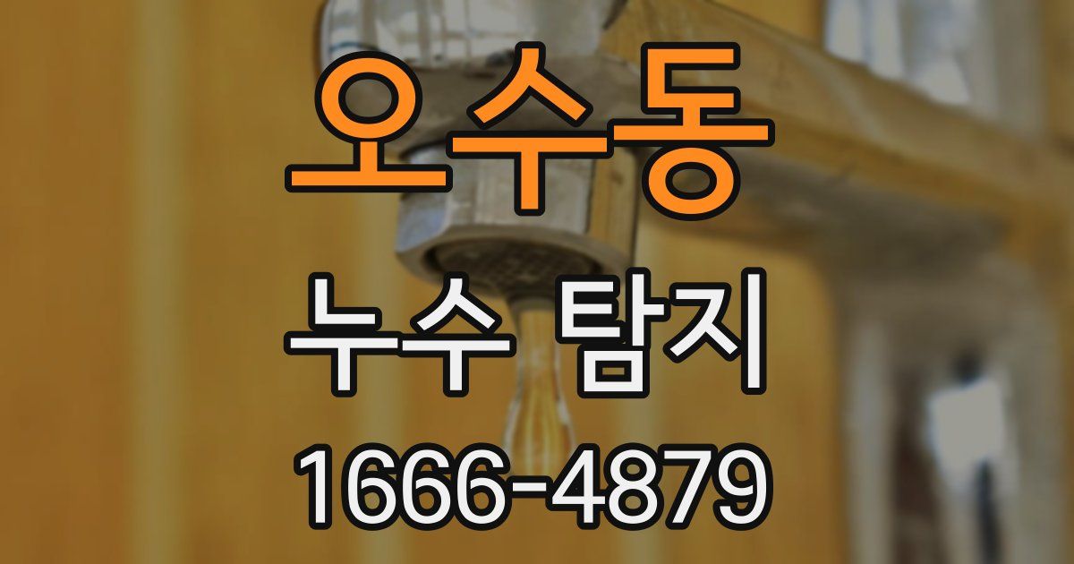 오수동 누수 탐지