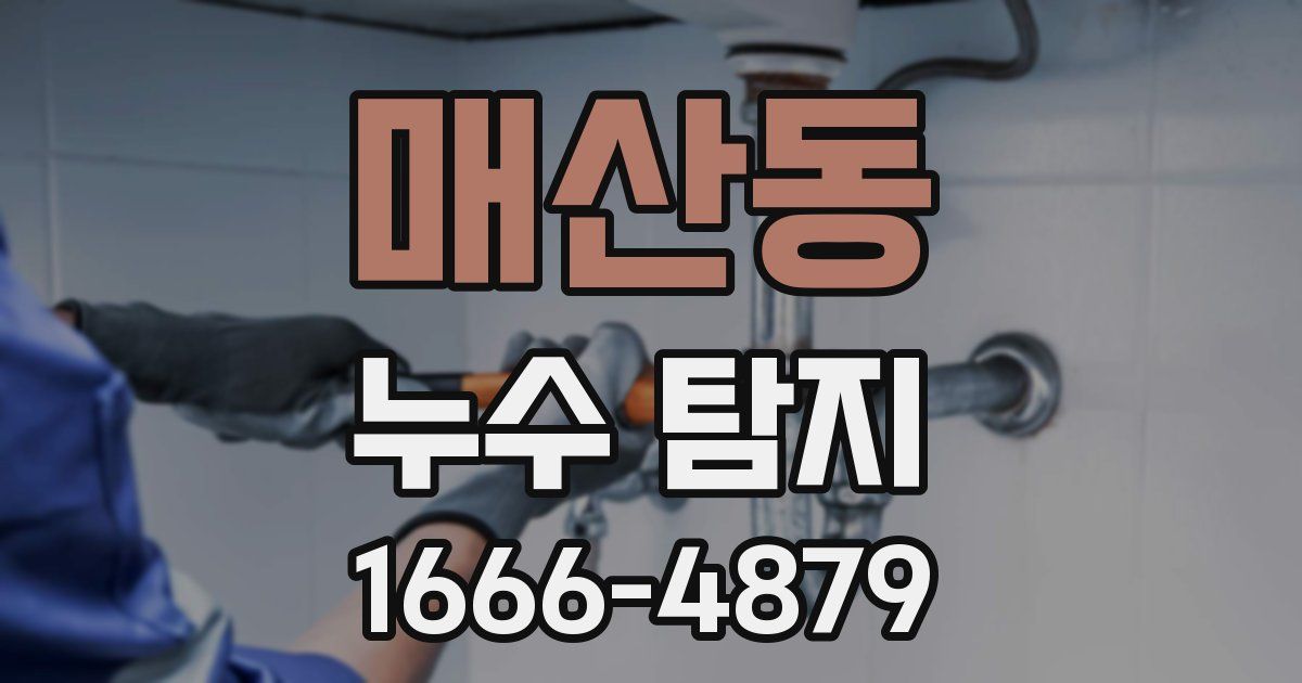 매산동 누수 탐지