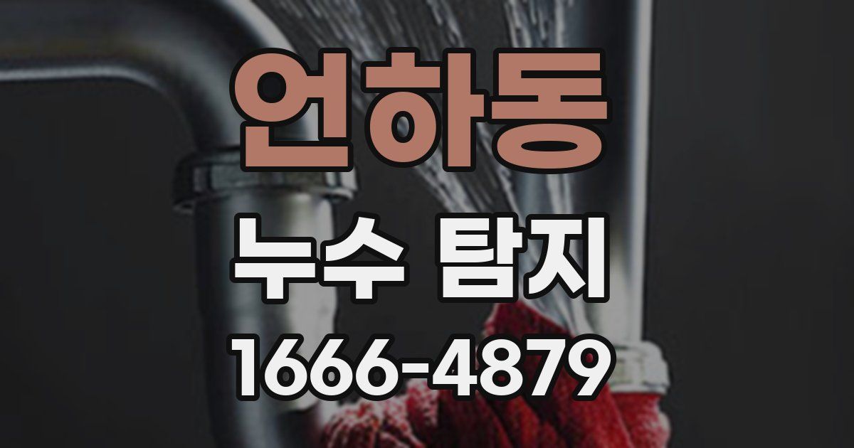 언하동 누수 탐지
