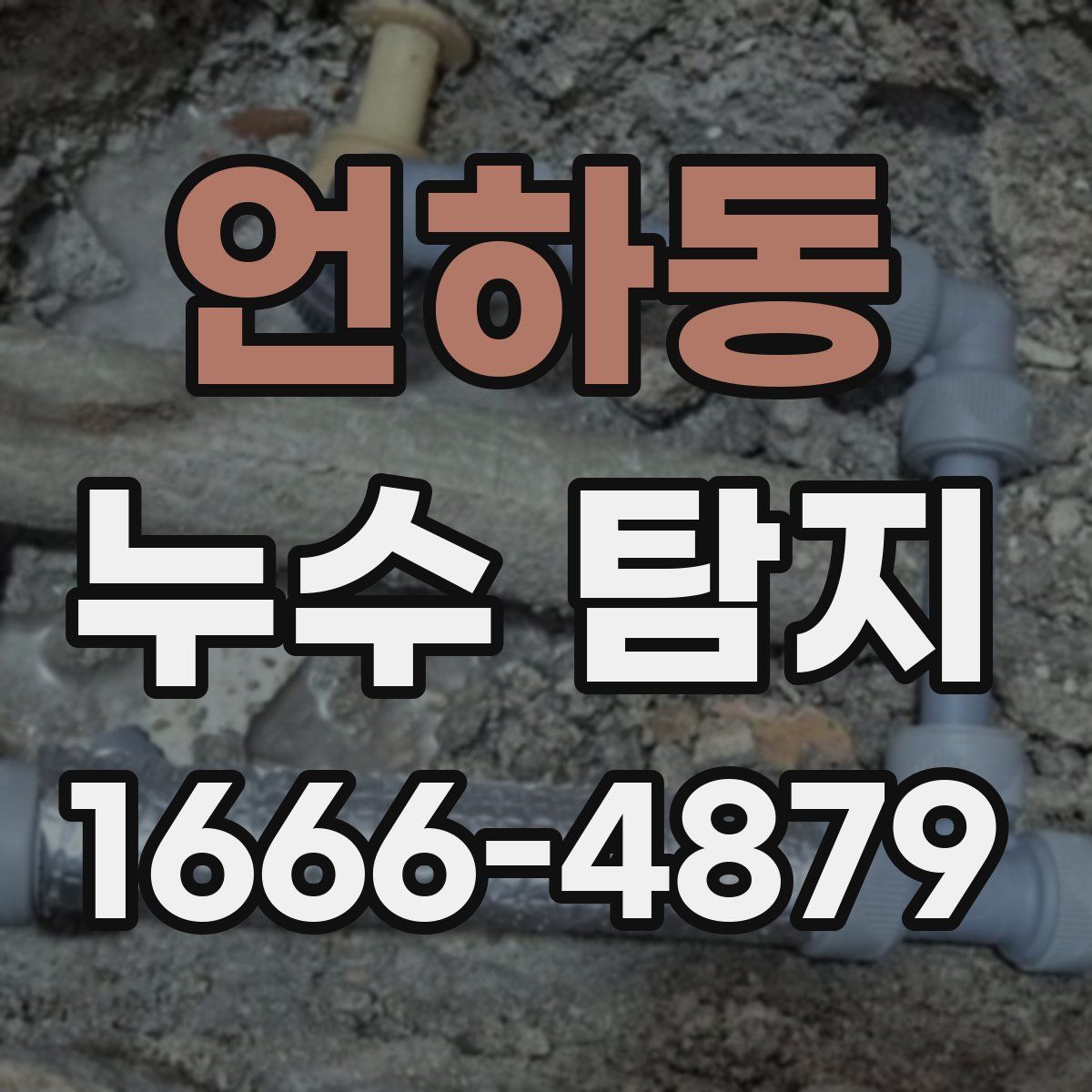 언하동 누수 탐지