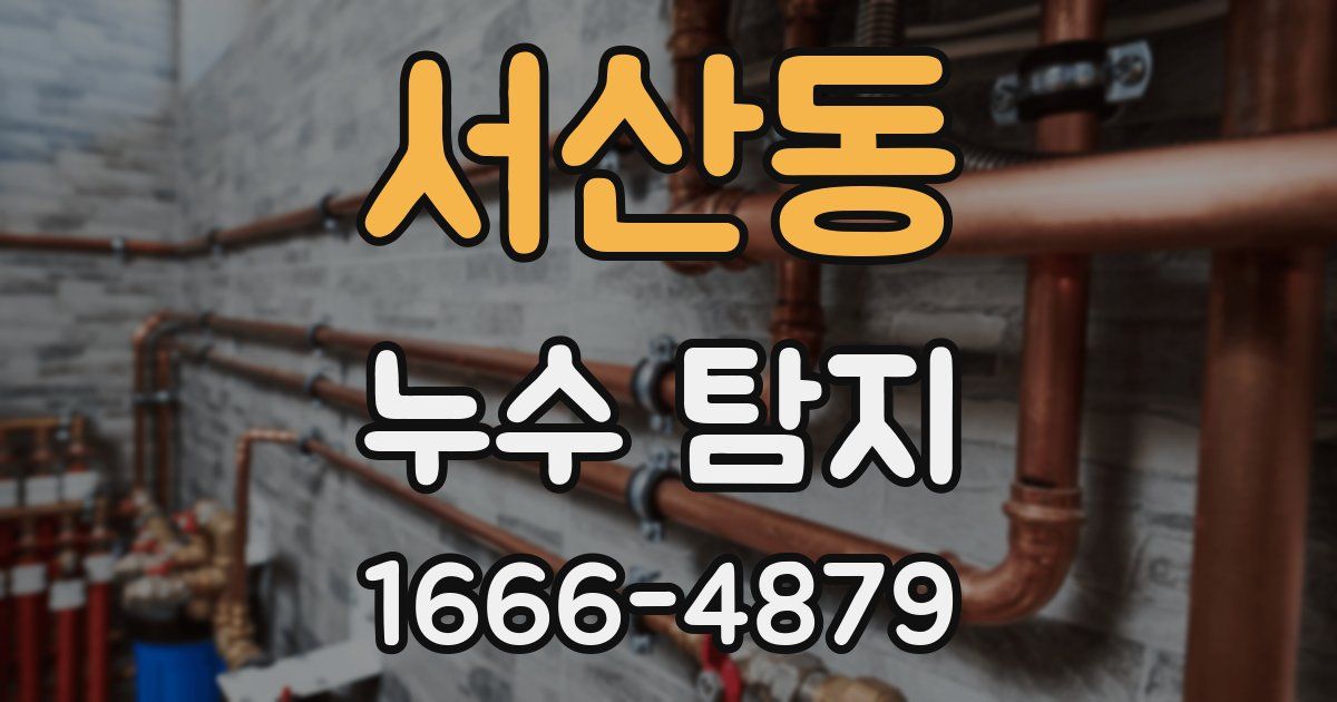 서산동 누수 탐지