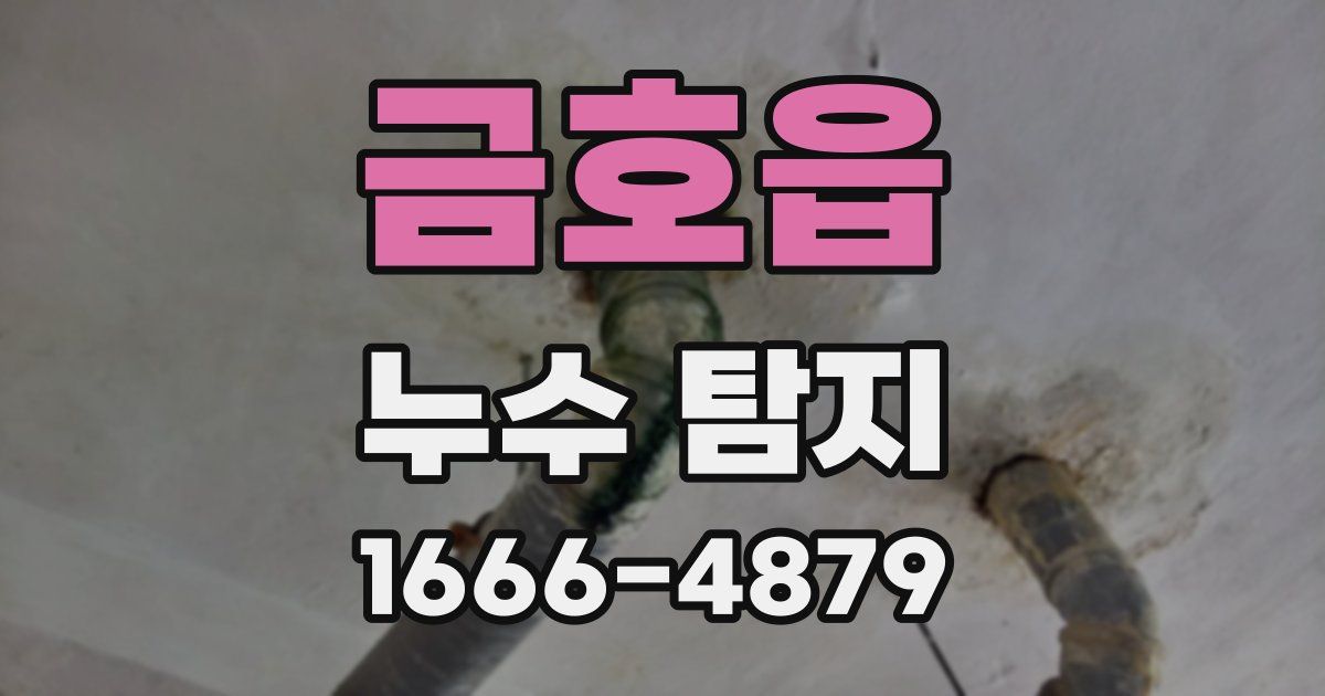 금호읍 누수 탐지