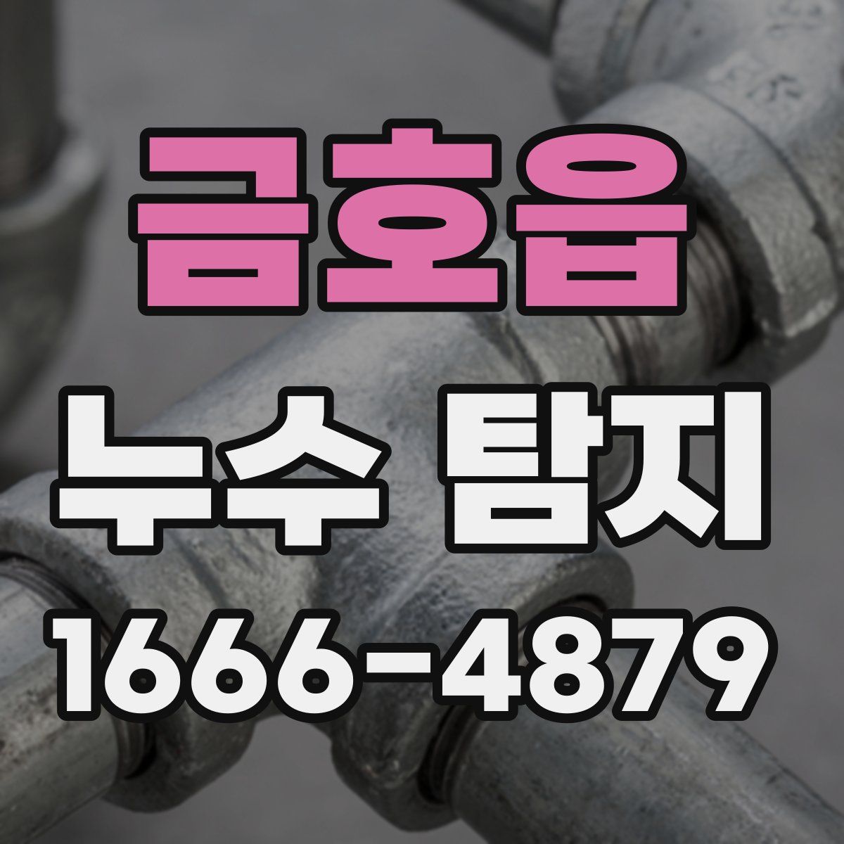 금호읍 누수 탐지