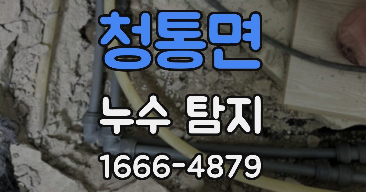 청통면 누수 탐지