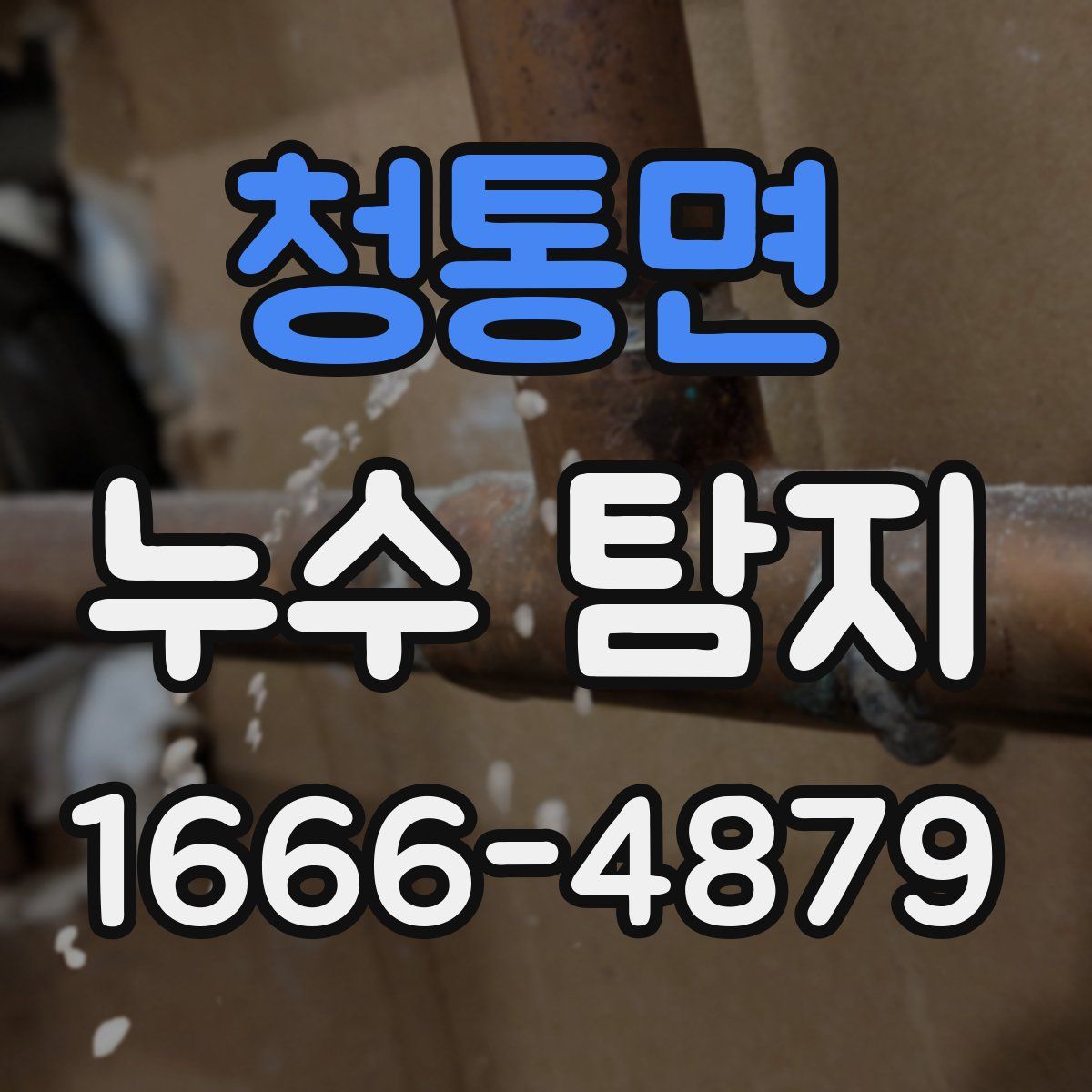 청통면 누수 탐지