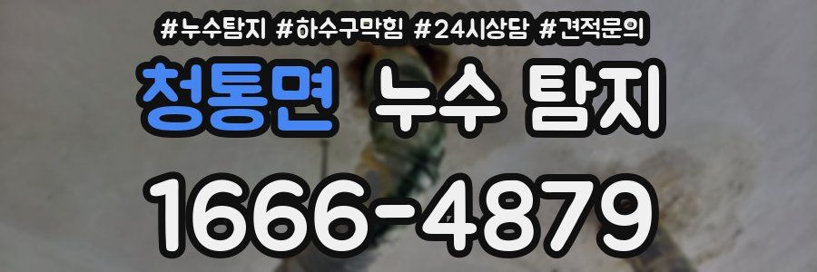 청통면 누수 탐지