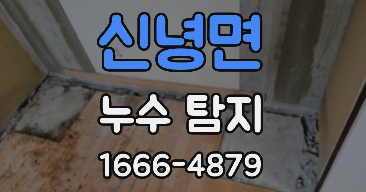 신녕면 누수 탐지