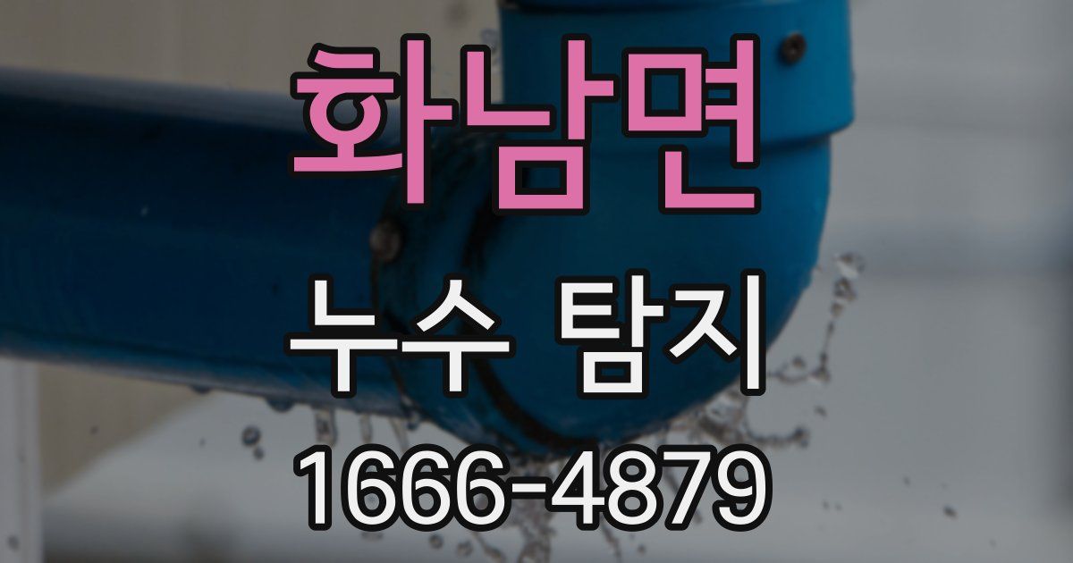 화남면 누수 탐지
