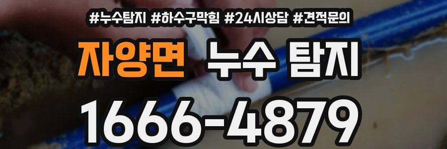 자양면 누수 탐지