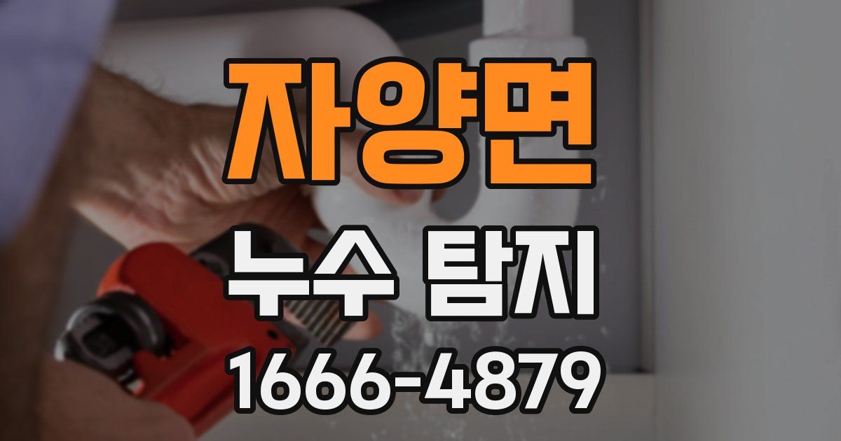 자양면 누수 탐지