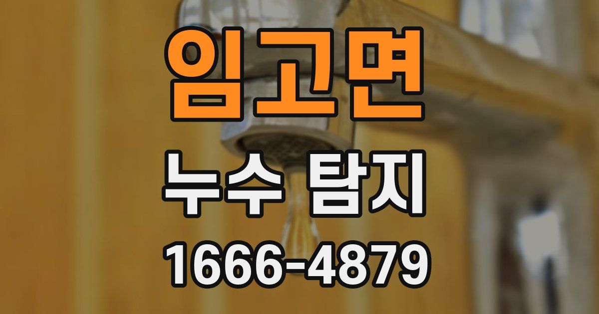 임고면 누수 탐지