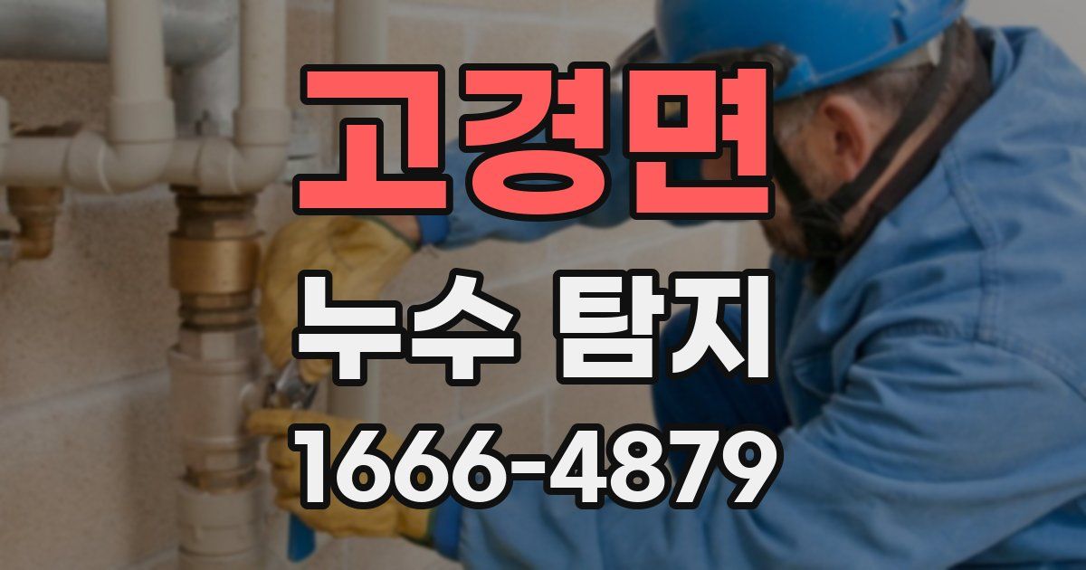 고경면 누수 탐지