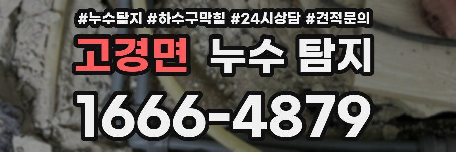 고경면 누수 탐지