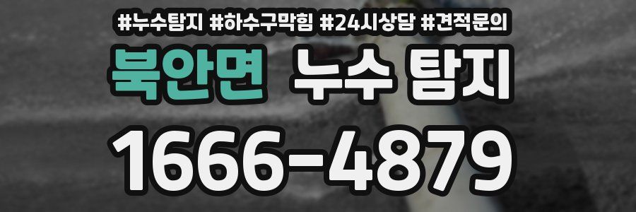 북안면 누수 탐지