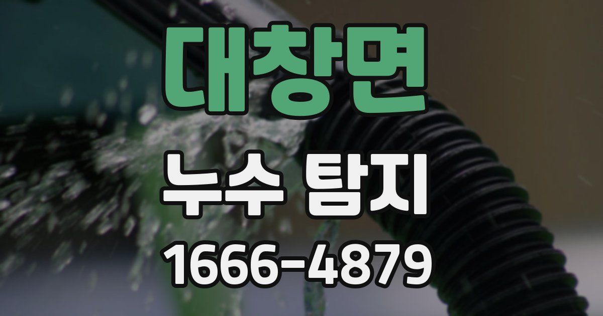 대창면 누수 탐지