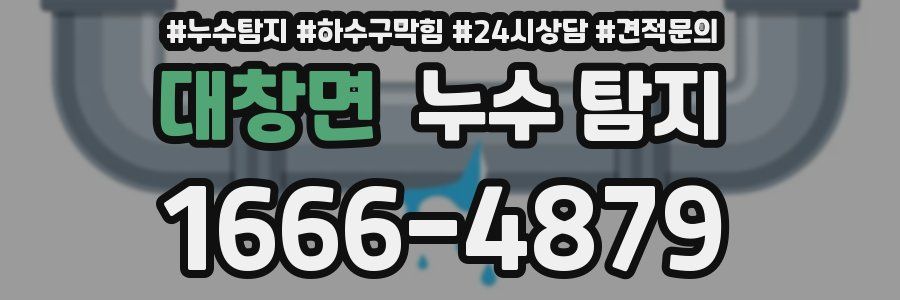 대창면 누수 탐지
