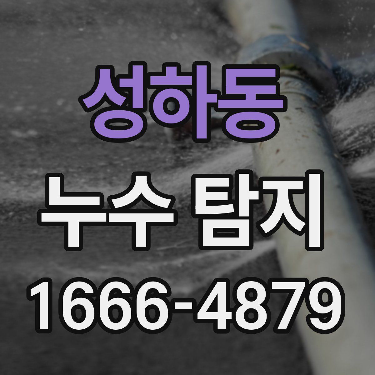 성하동 누수 탐지