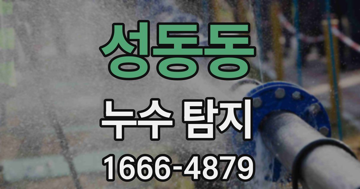 성동동 누수 탐지