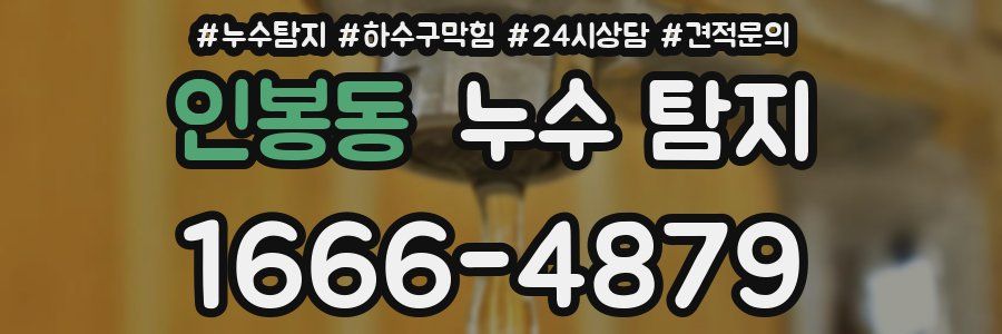 인봉동 누수 탐지