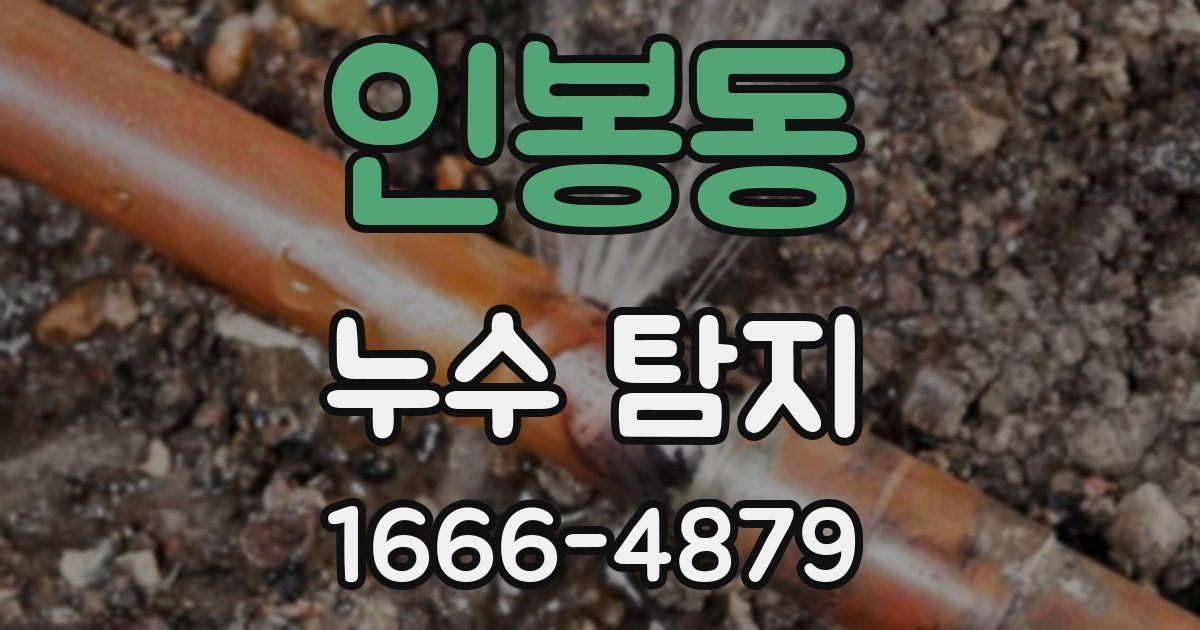 인봉동 누수 탐지