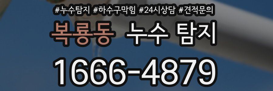 복룡동 누수 탐지