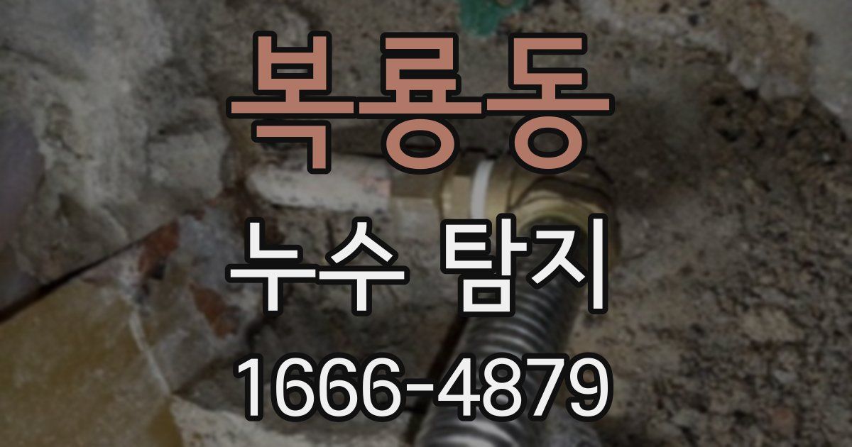 복룡동 누수 탐지