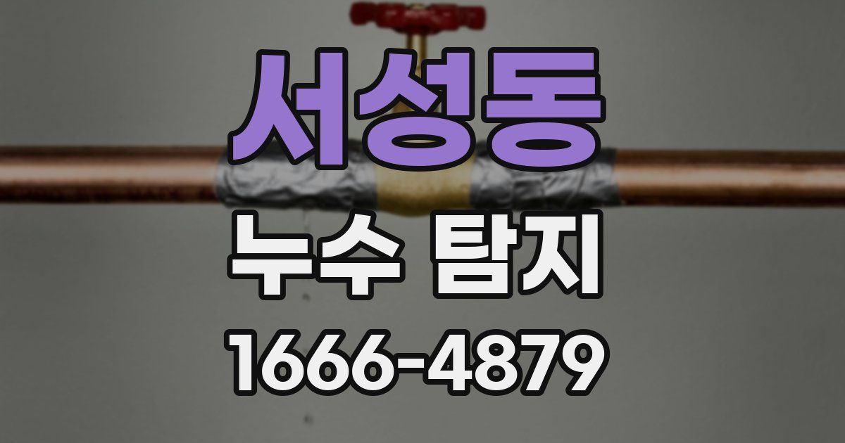 서성동 누수 탐지