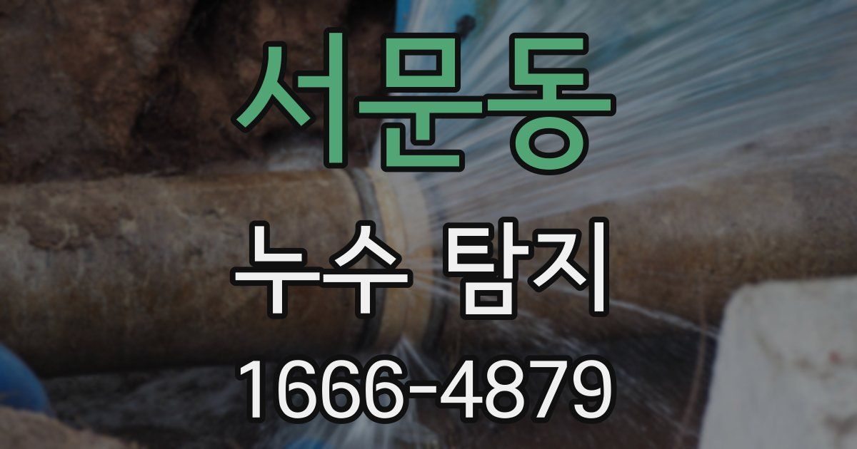 서문동 누수 탐지