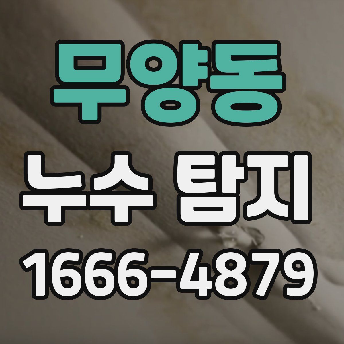 무양동 누수 탐지