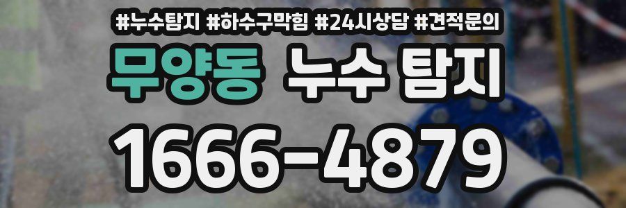 무양동 누수 탐지