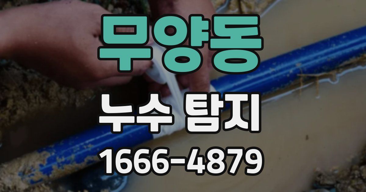 무양동 누수 탐지