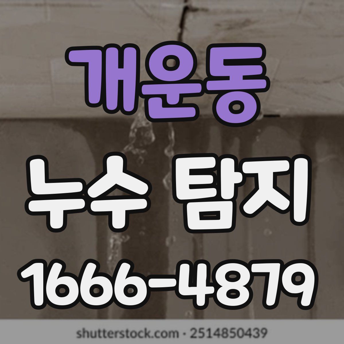 개운동 누수 탐지