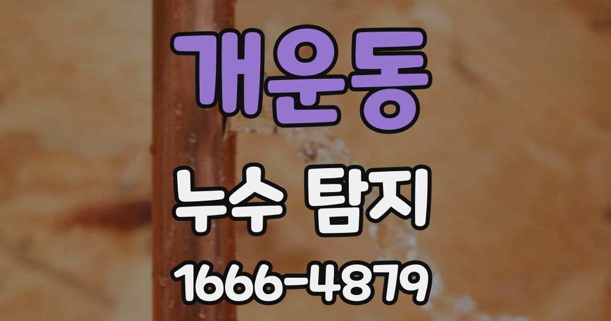 개운동 누수 탐지