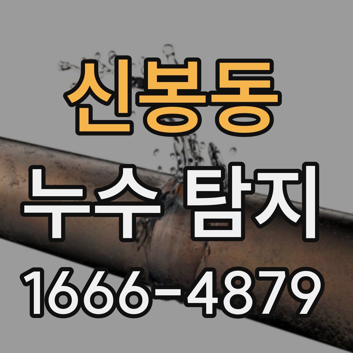 신봉동 누수 탐지