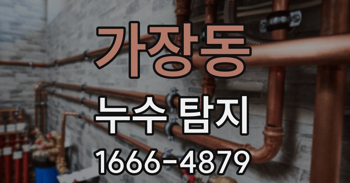 가장동 누수 탐지